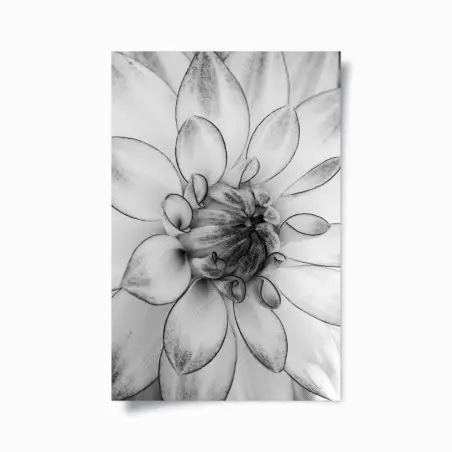 Poster éclosion florale en noir et blanc – Wallnifity®
