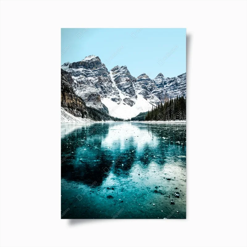 Posters – Wallnifity®