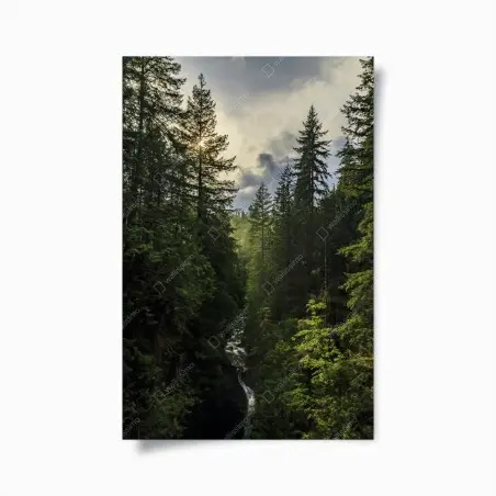 Poster paysage forestier: cascade entre les sapins – Wallnifity®
