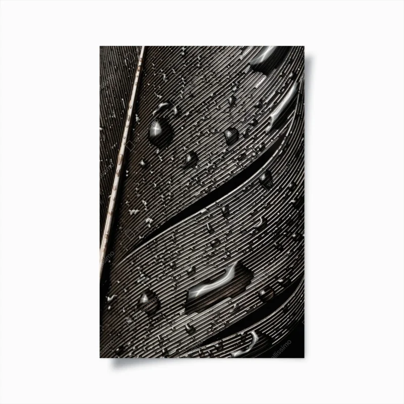 Animaux – Wallnifity®