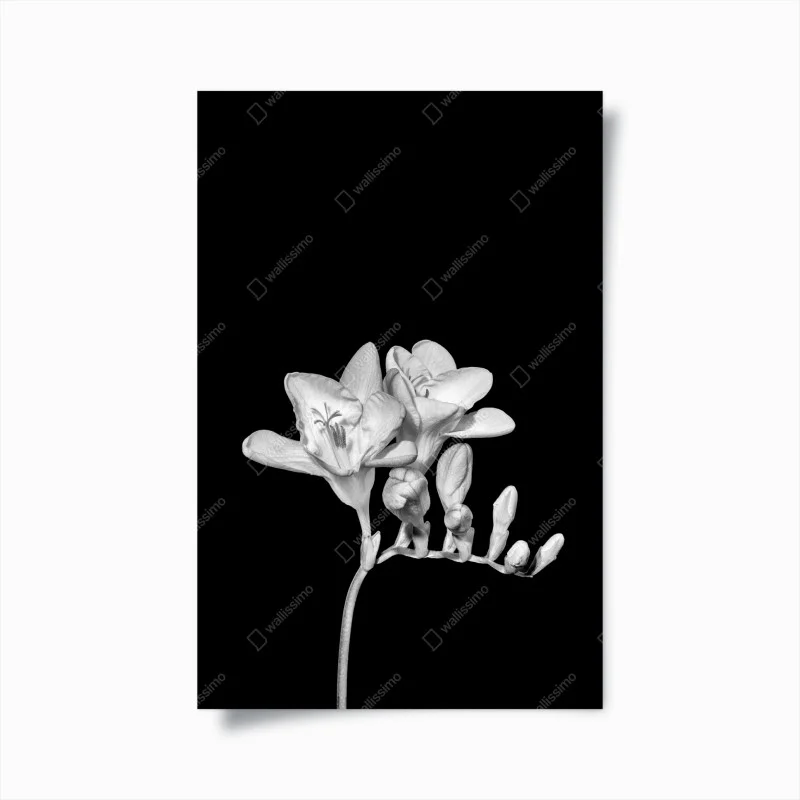 Chambre – Wallnifity®