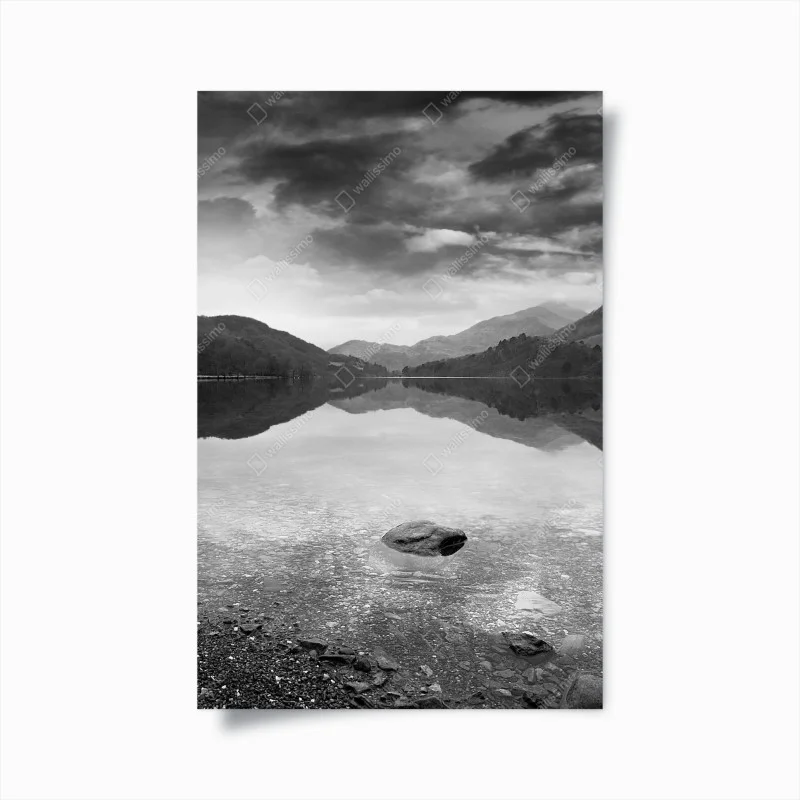 Posters – Wallnifity®