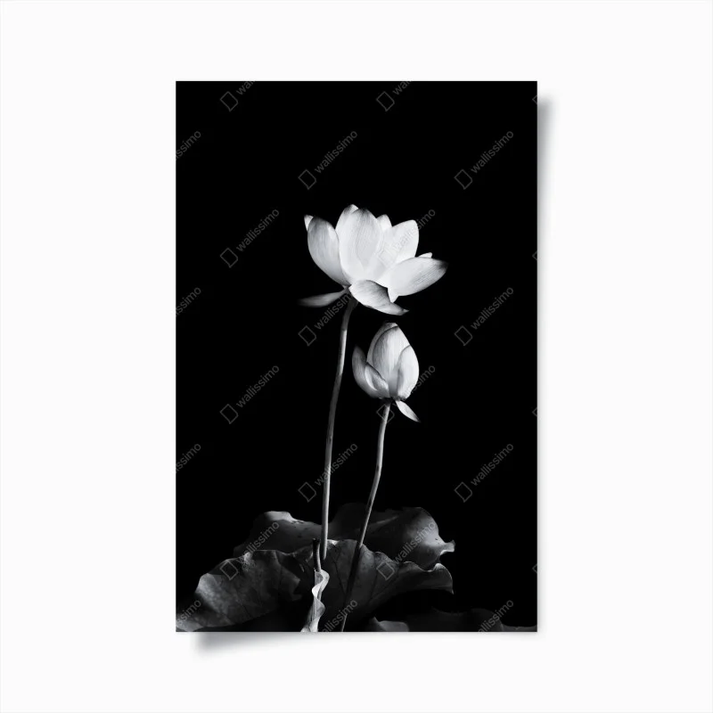 Chambre – Wallnifity®