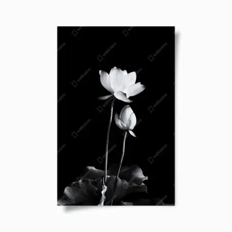 Poster lotus minimaliste en noir et blanc – Wallnifity®