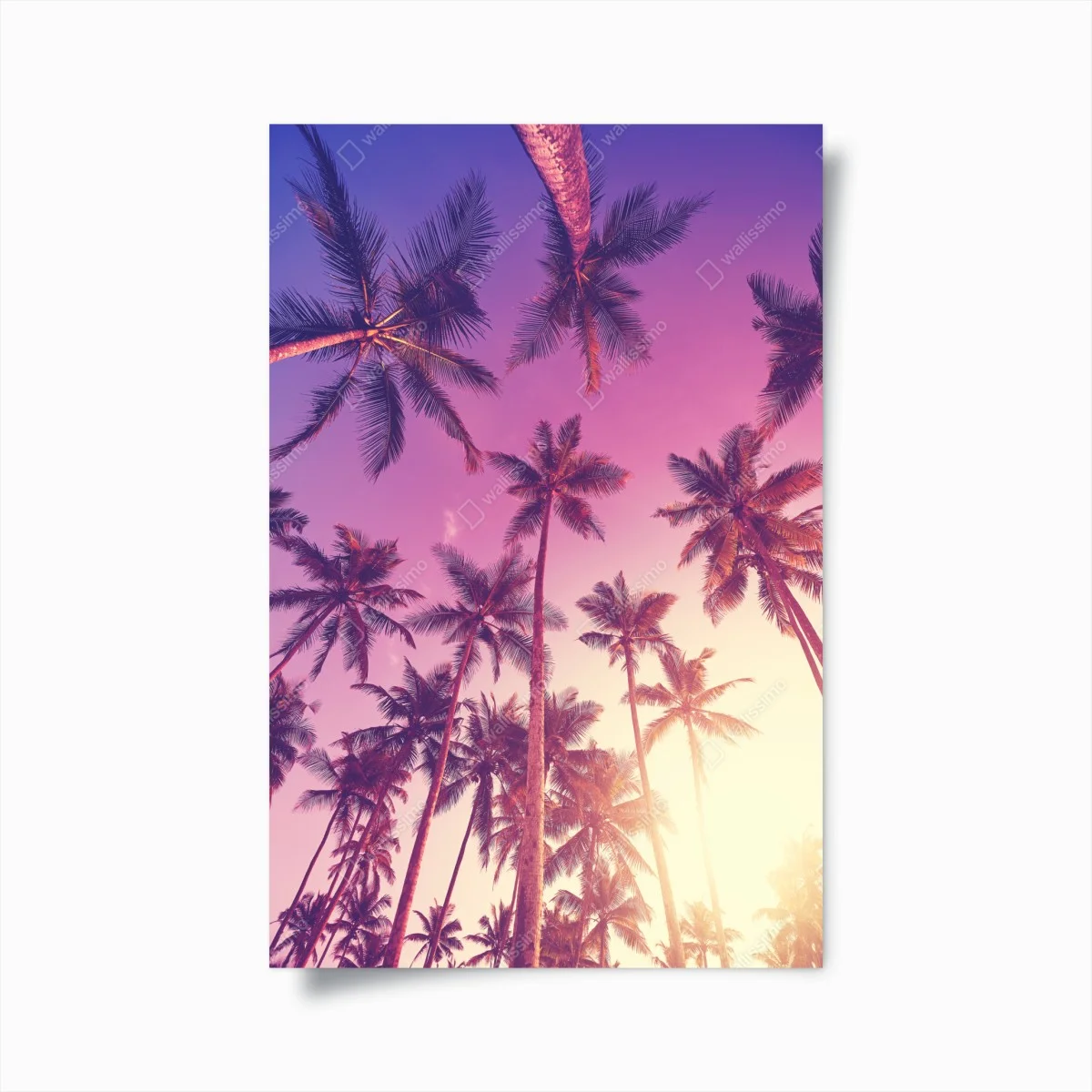 Poster sérénité sous les palmiers au coucher du soleil – Wallnifity® Poster sérénité sous les palmiers au coucher du soleil – Wallnifity®