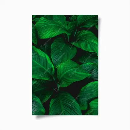 Poster feuillage tropical luxuriant – Wallnifity®