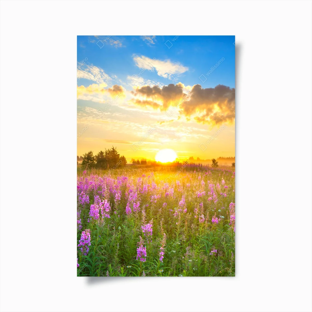 Poster prairie en fleurs au lever du soleil – Wallnifity® Poster prairie en fleurs au lever du soleil – Wallnifity®