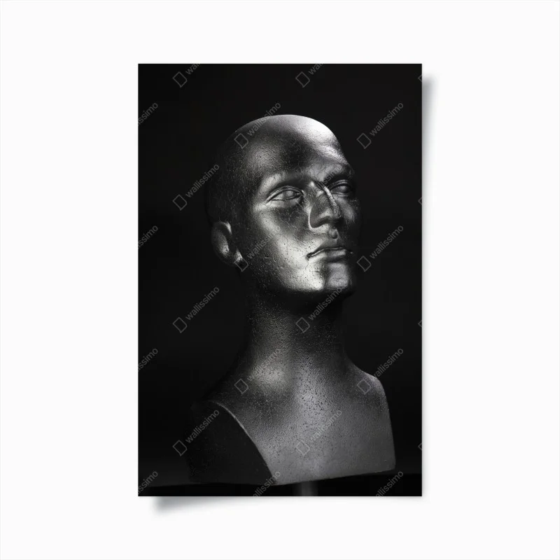 Posters – Wallnifity®