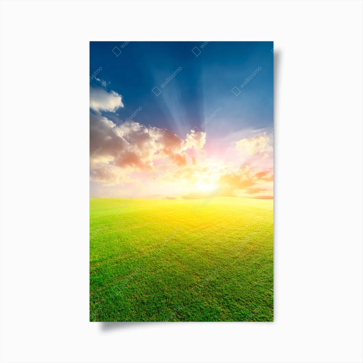Poster prairie au soleil couchant – Wallnifity® Poster prairie au soleil couchant – Wallnifity®