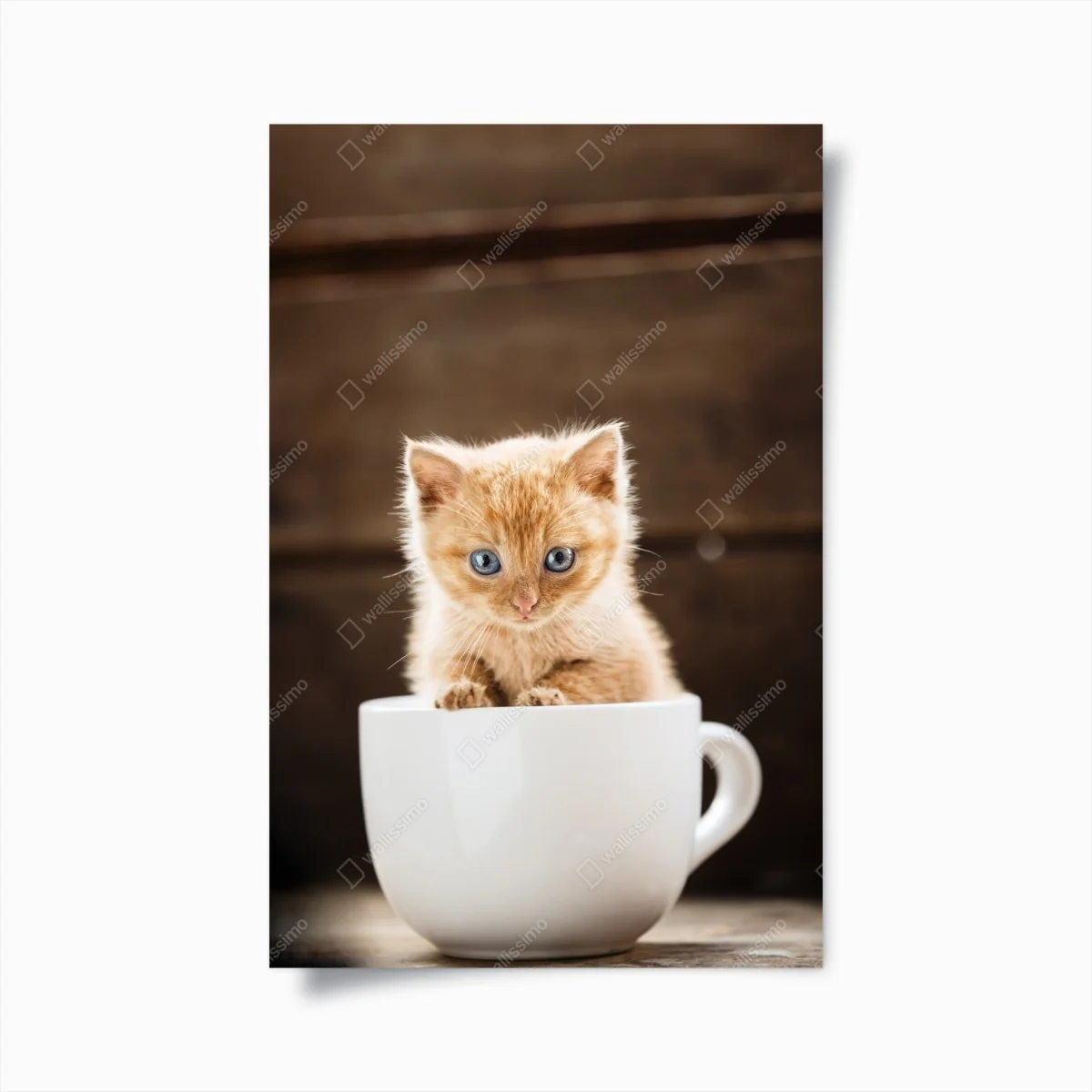 Poster chaton roux dans une tasse – Wallnifity® Poster chaton roux dans une tasse – Wallnifity®
