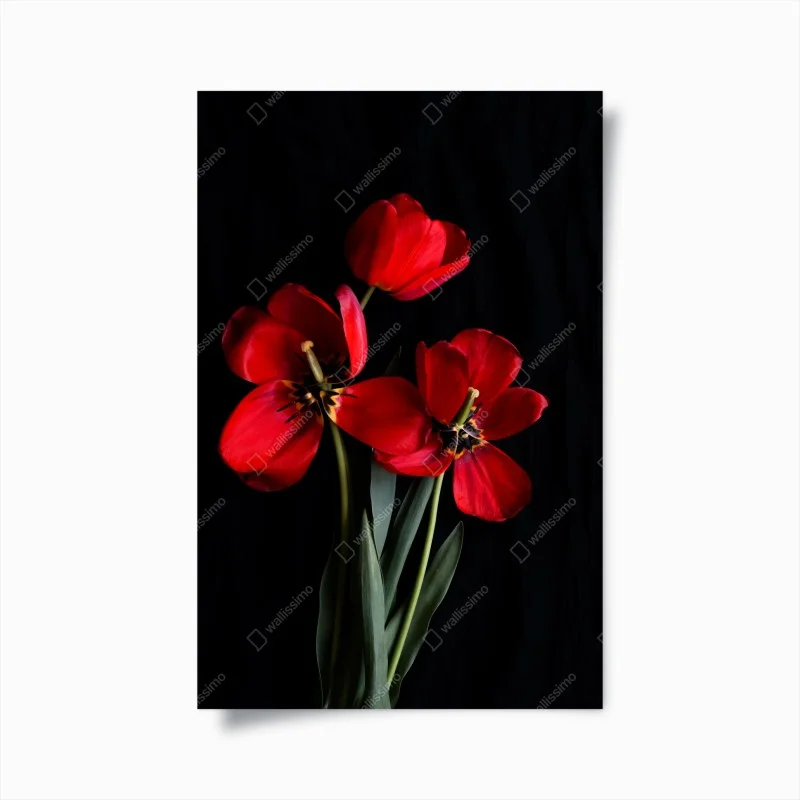 Chambre – Wallnifity®