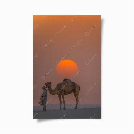 Poster silhouette d'un dromadaire au coucher de soleil – Wallnifity®