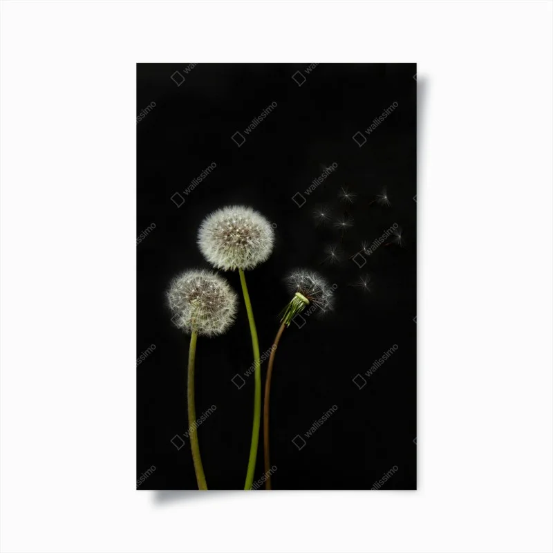 Chambre – Wallnifity®