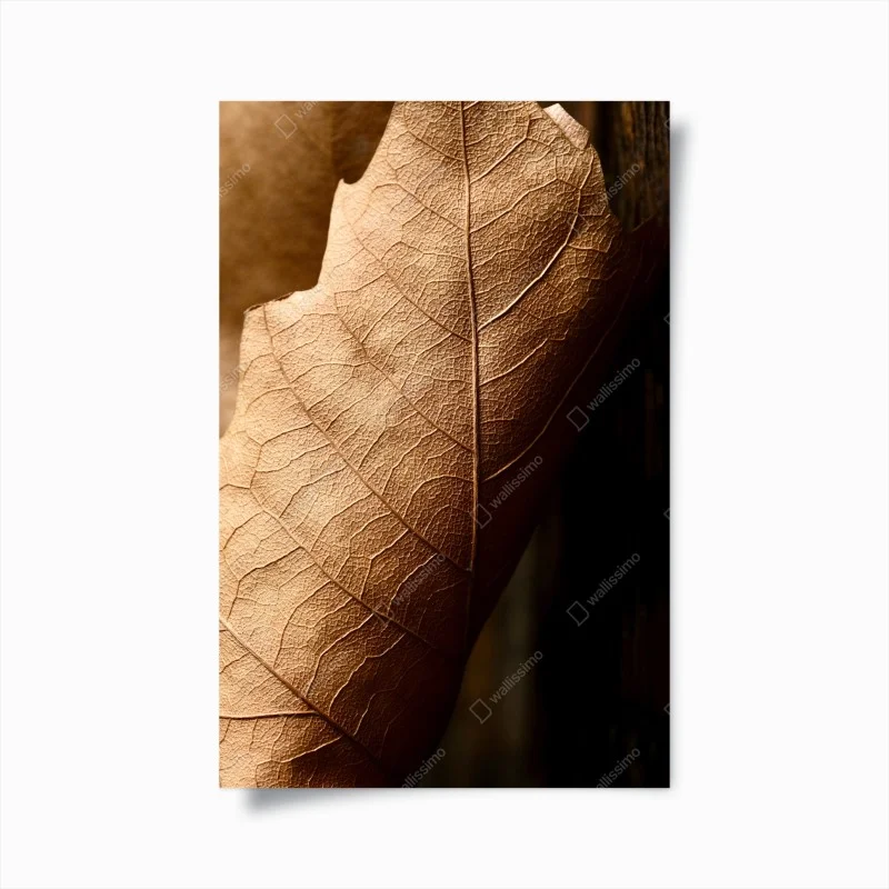 Posters – Wallnifity®