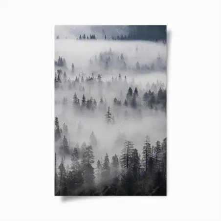Poster forêt de pins enveloppée de brume – Wallnifity®