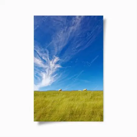 Poster paysage pastoral sous ciel d'azur – Wallnifity®