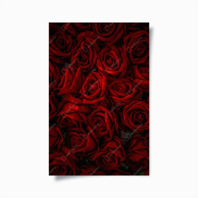 Posters – Wallnifity®