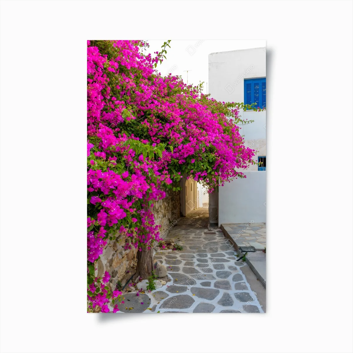 Poster ruelle cycladique fleurie à Naousa, Paros, Grèce – Wallnifity® Poster ruelle cycladique fleurie à Naousa, Paros, Grèce – Wallnifity®