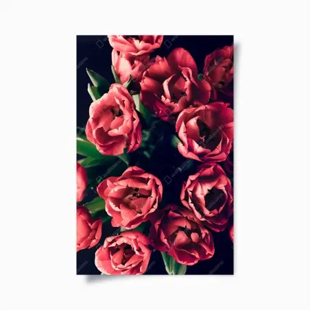 Poster bouquet de tulipes corail sur fond sombre – Wallnifity®