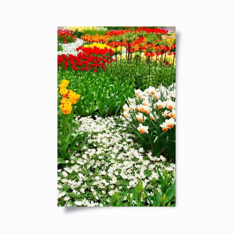Posters – Wallnifity®