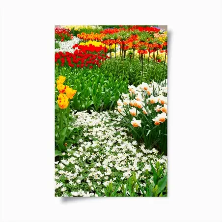Poster champ floral printanier aux couleurs vives – Wallnifity®
