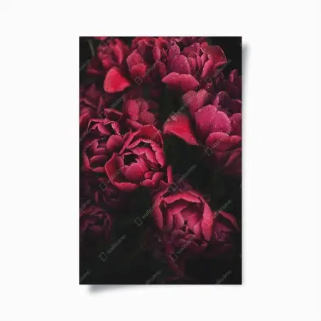 Poster bouquet de tulipes rouges en gros plan – Wallnifity®