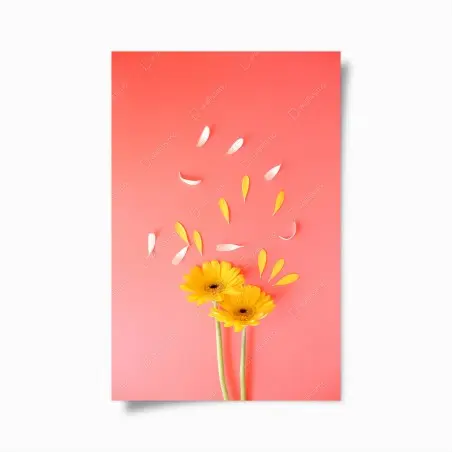 Poster double gerbera jaune sur fond corail – Wallnifity®