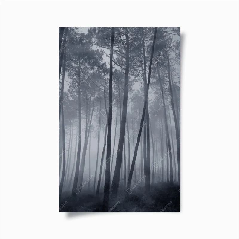 Forêts – Wallnifity®