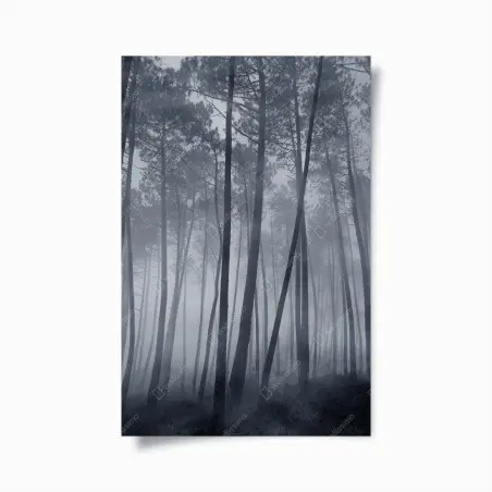 Poster forêt de pins embrumée la nuit – Wallnifity®