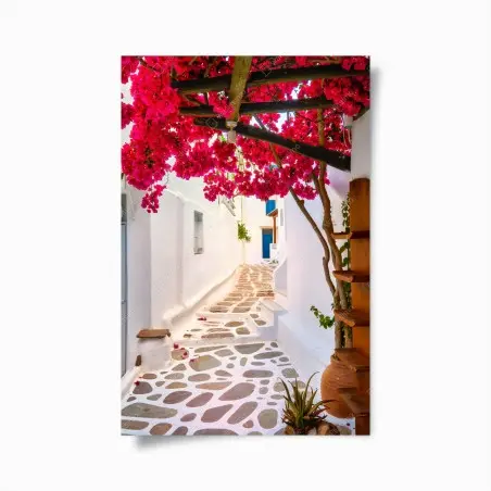 Poster ruelle aux bougainvilliers et pavés blancs – Wallnifity®
