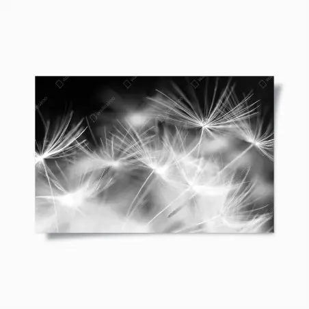 Poster souffle de pissenlit en gros plan – Wallnifity®