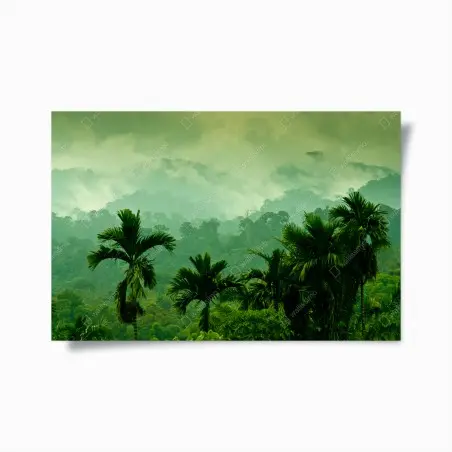 Poster panorama de forêt tropicale brumeuse – Wallnifity®