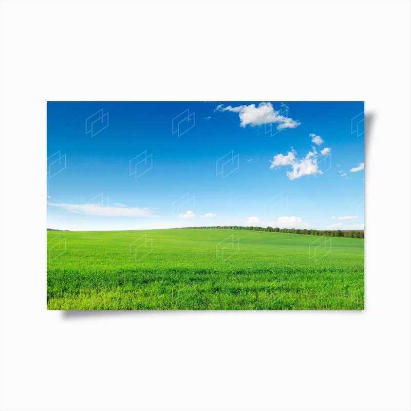 Prairies – Wallnifity®