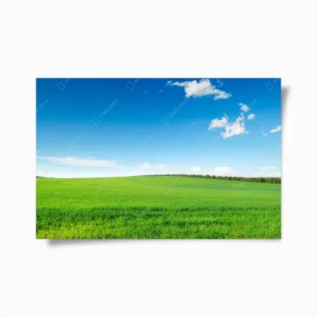Poster paysage champêtre verdoyant sous ciel bleu – Wallnifity®