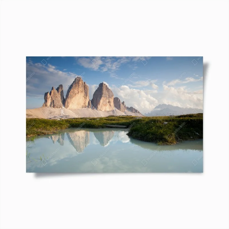 Nature – Wallnifity®