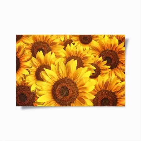 Poster mosaïque de tournesols éclatants – Wallnifity®