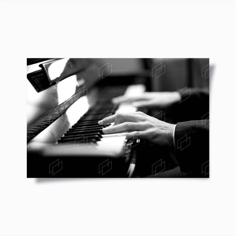 Musique – Wallnifity®