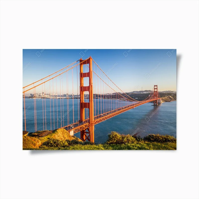 Posters – Wallnifity®