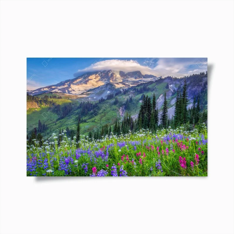 Poster prairie alpine fleurie au pied de la montagne – Wallnifity® Poster prairie alpine fleurie au pied de la montagne – Wallnifity®