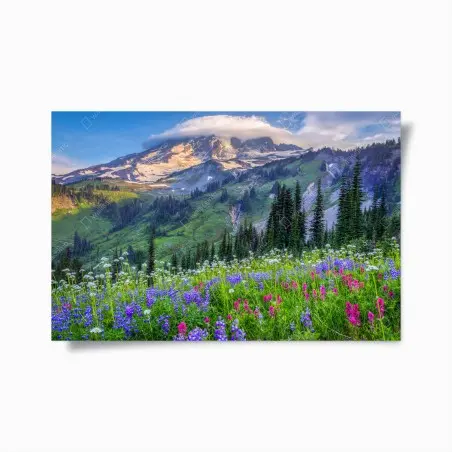 Poster prairie alpine fleurie au pied de la montagne – Wallnifity®