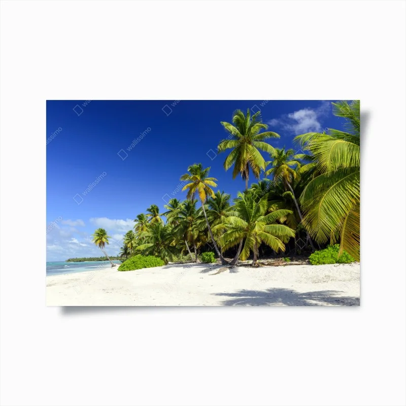 Posters – Wallnifity®