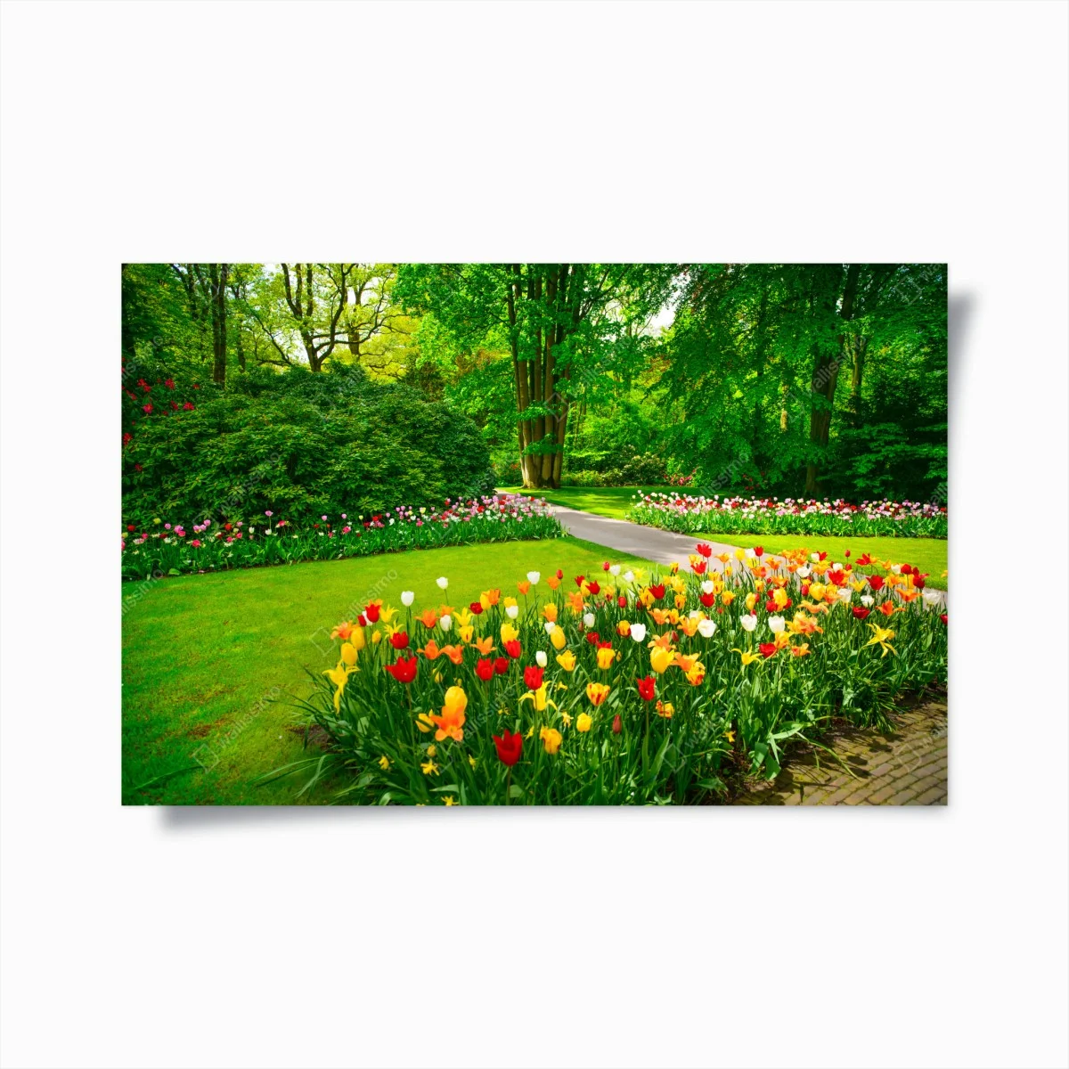 Poster jardin de Keukenhof en fleurs – Wallnifity® Poster jardin de Keukenhof en fleurs – Wallnifity®