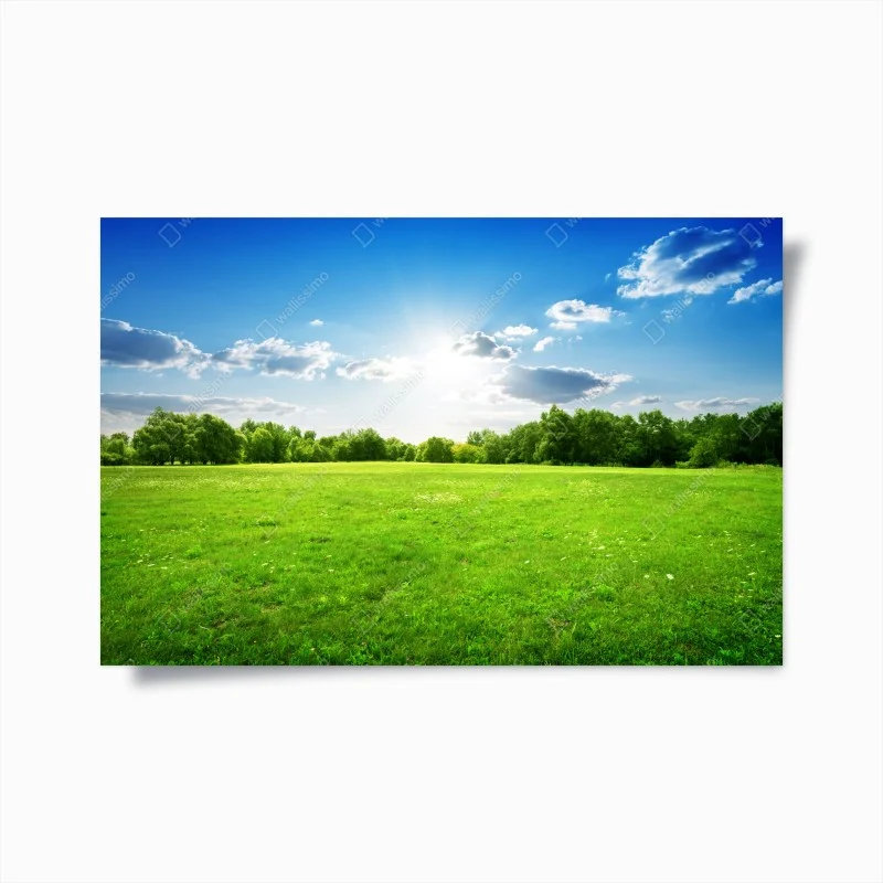 Posters – Wallnifity®