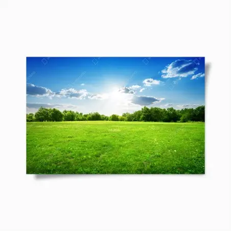 Poster champ verdoyant sous un ciel ensoleillé – Wallnifity®