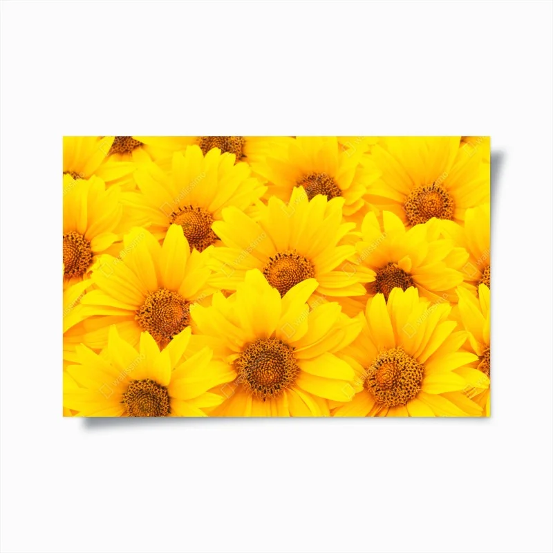 Poster éclat de tournesols jaunes – Wallnifity® Poster éclat de tournesols jaunes – Wallnifity®