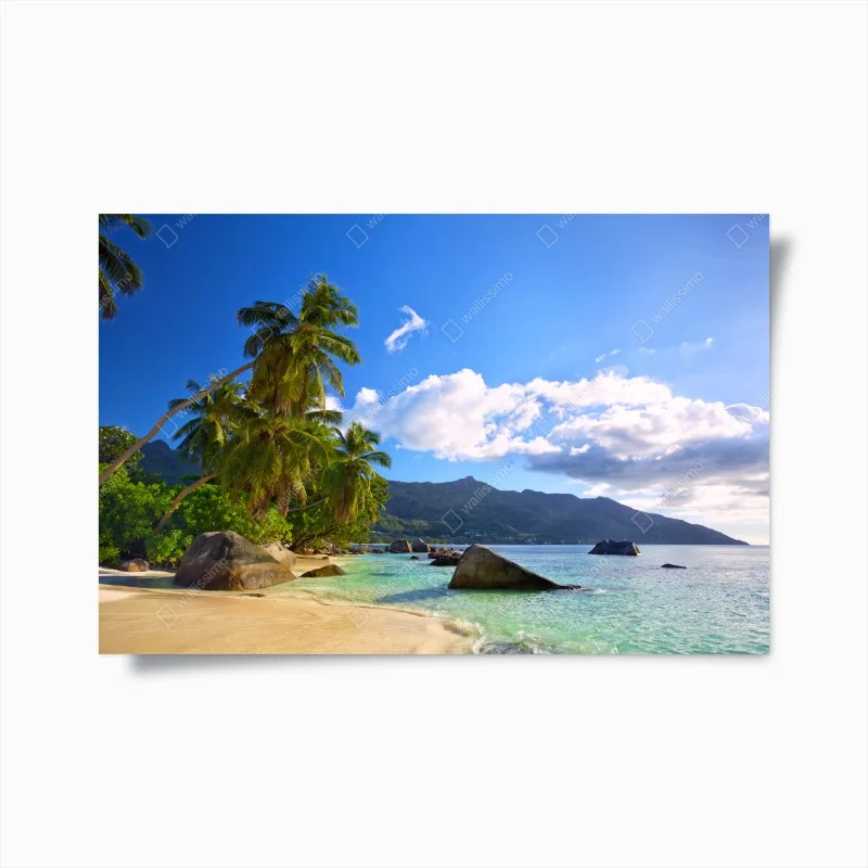 Plage – Wallnifity®