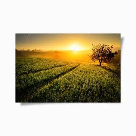 Poster aube dorée sur champs vallonnés – Wallnifity®