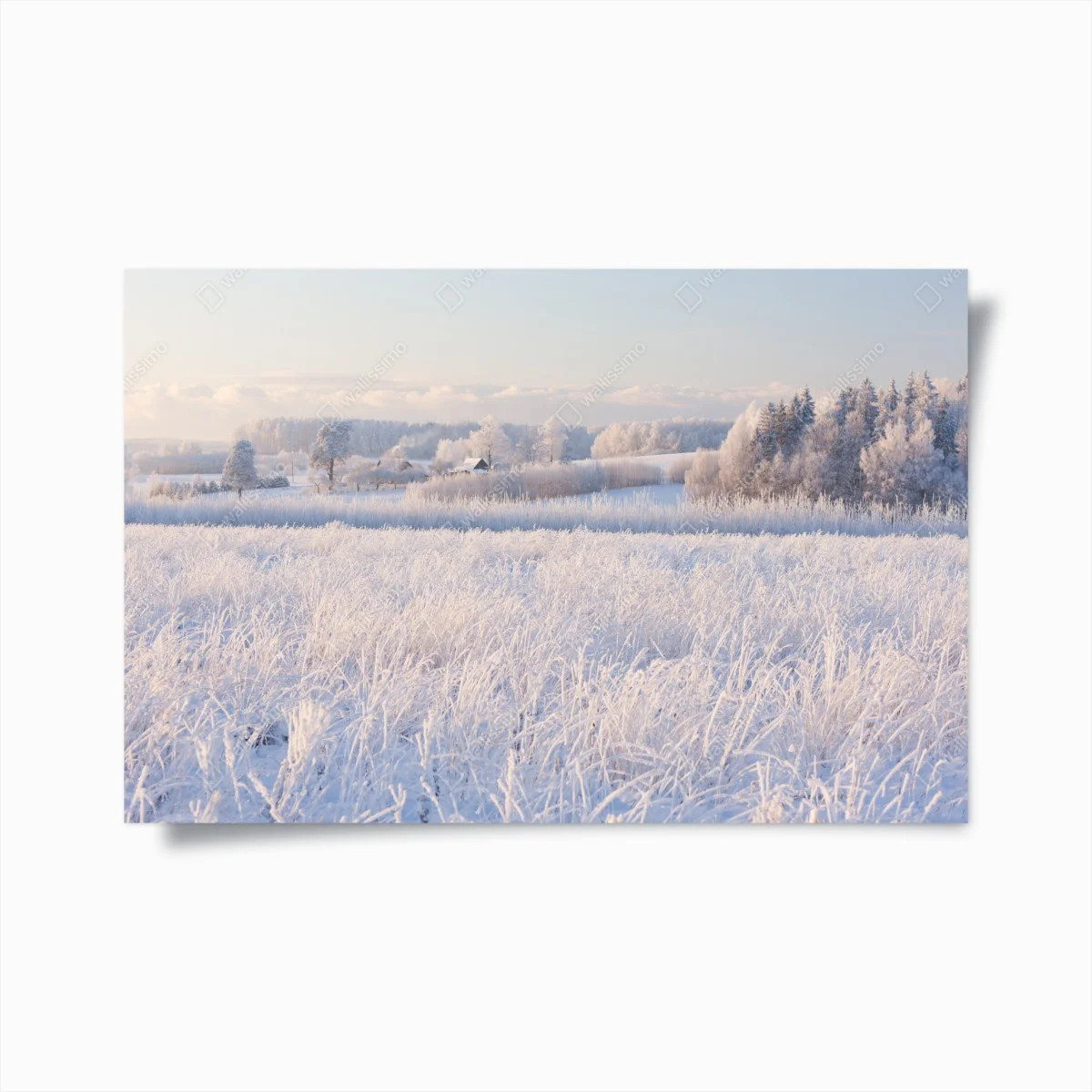Poster paysage hivernal givré au lever du soleil – Wallnifity® Poster paysage hivernal givré au lever du soleil – Wallnifity®