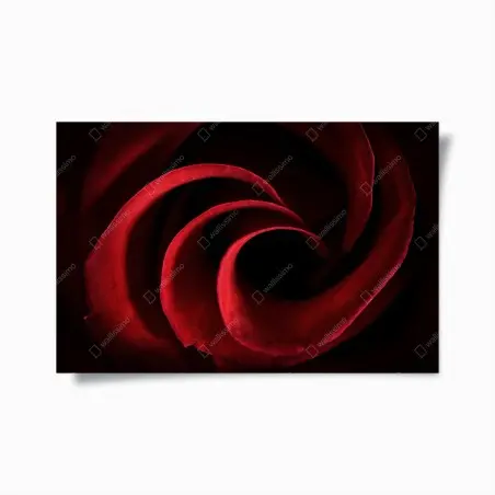 Poster spirale de pétales de rose rouge – Wallnifity®