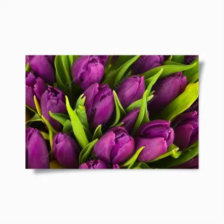 Poster bouquet de tulipes violettes en gros plan – Wallnifity®